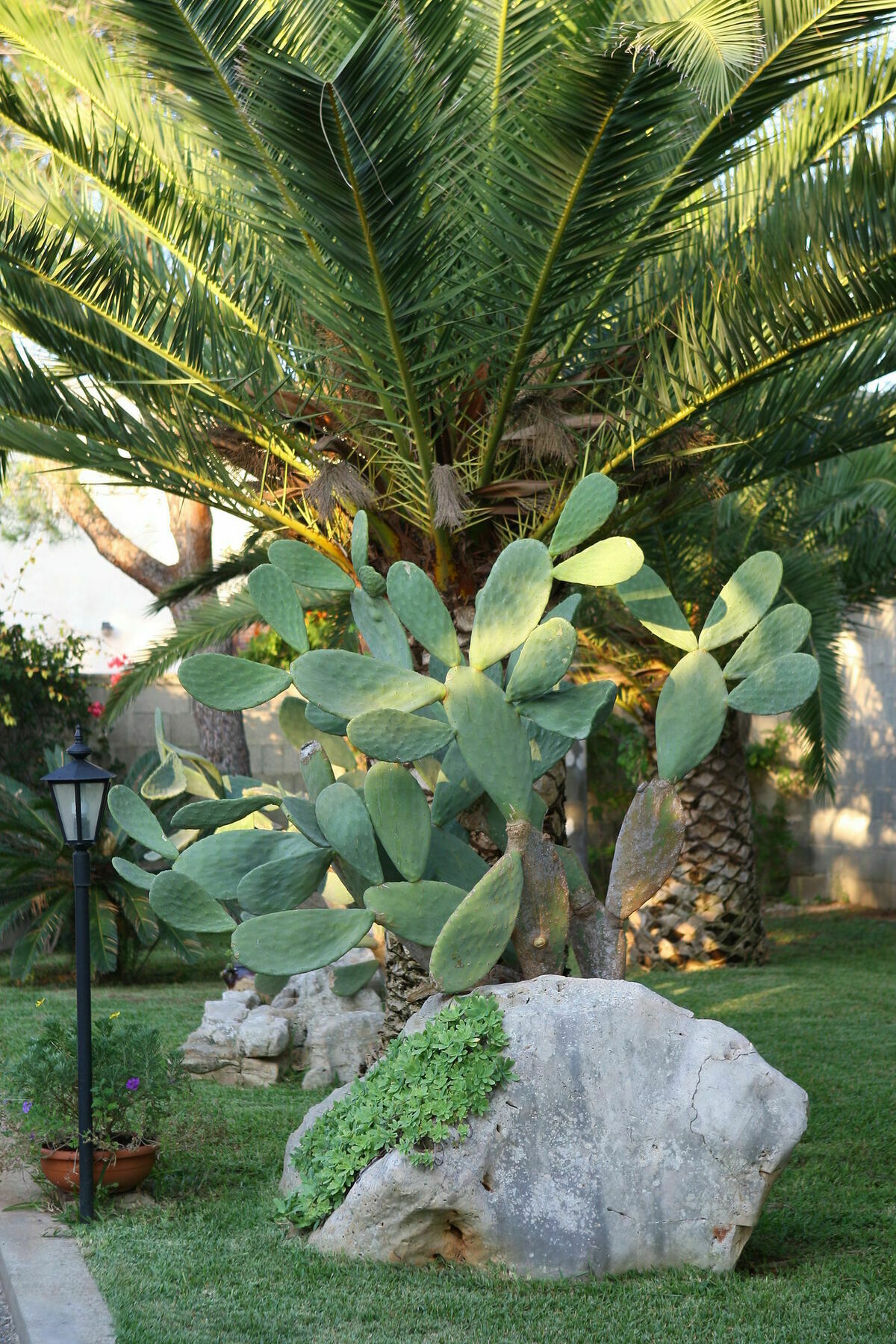 Lecce Guesthouse ภายนอก รูปภาพ