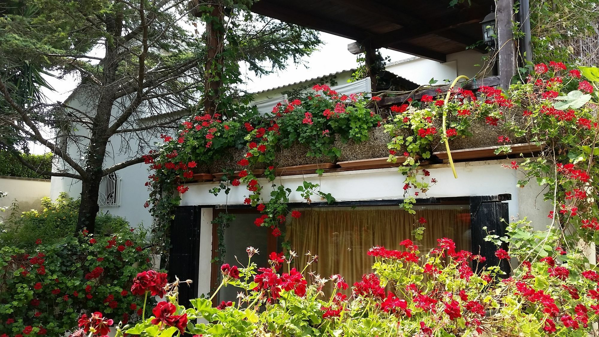 Lecce Guesthouse ภายนอก รูปภาพ